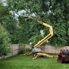 Why Choose Our Tree Removal Services in Shannondale, WV?